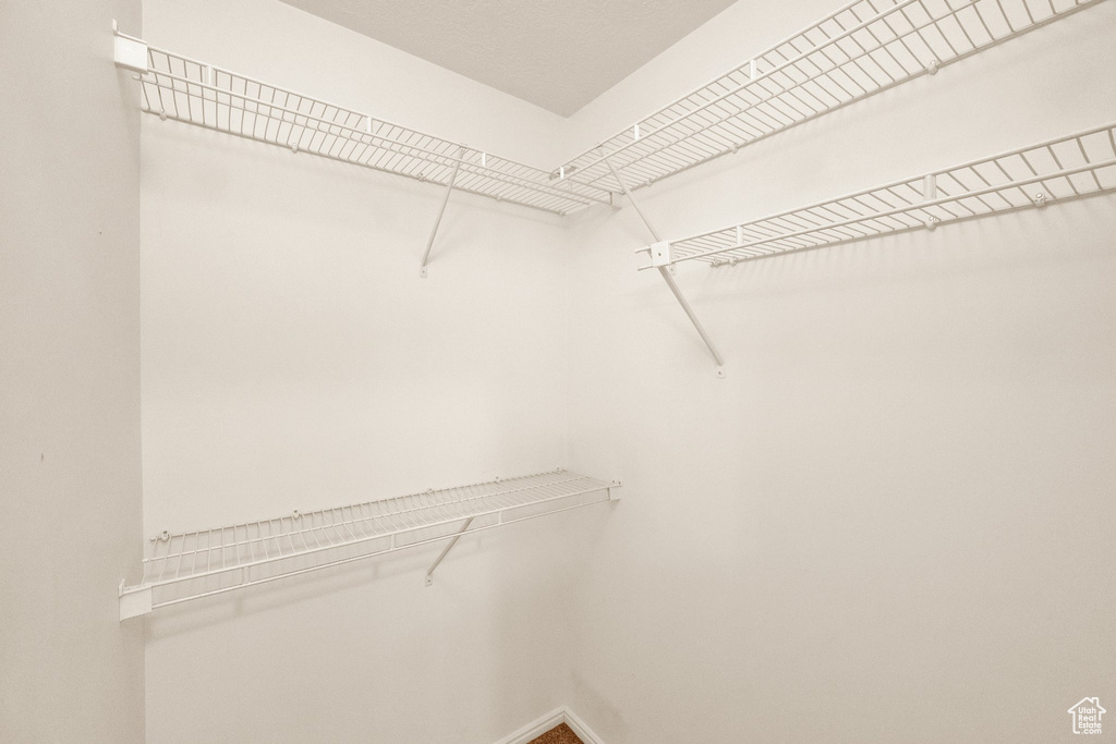 View of walk in closet
