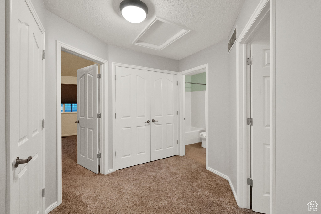 Corridor featuring carpet floors, attic access, and a textured ceiling