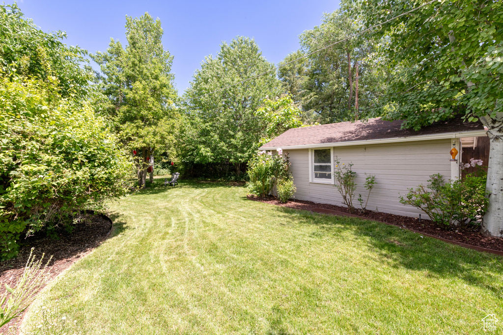 View of grassy yard