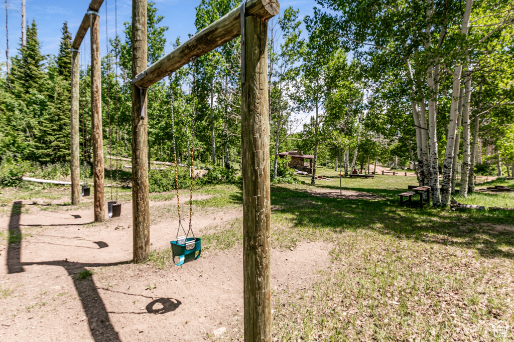 View of grassy yard