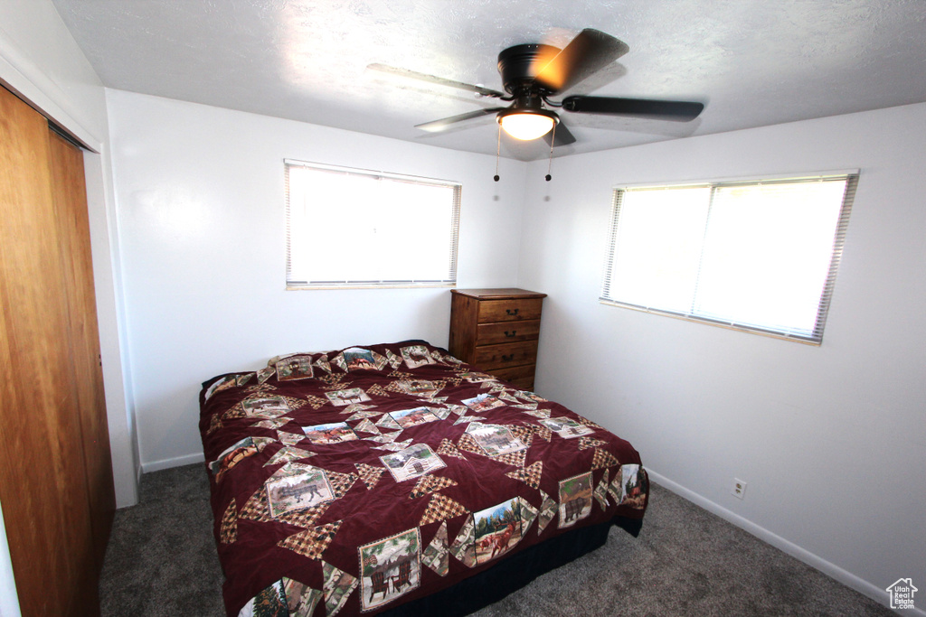 Carpeted bedroom featuring multiple windows, a closet, and a ceiling fan