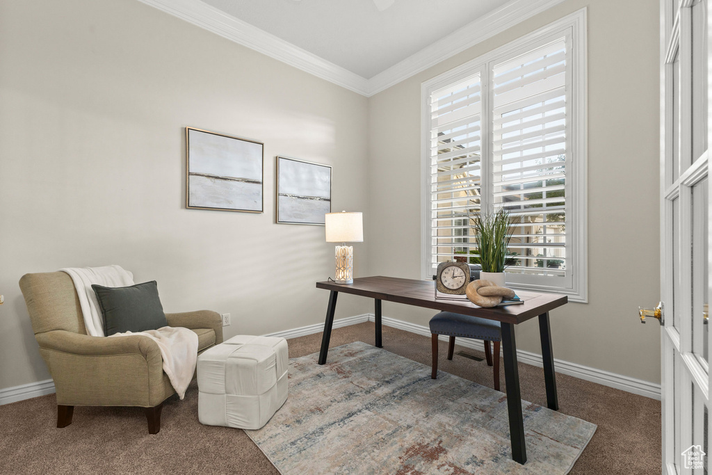 Carpeted office with plenty of natural light and ornamental molding