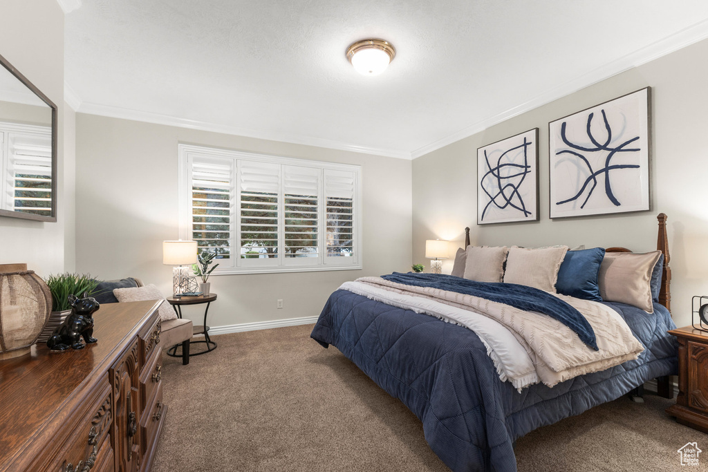 Bedroom featuring carpet flooring and crown molding