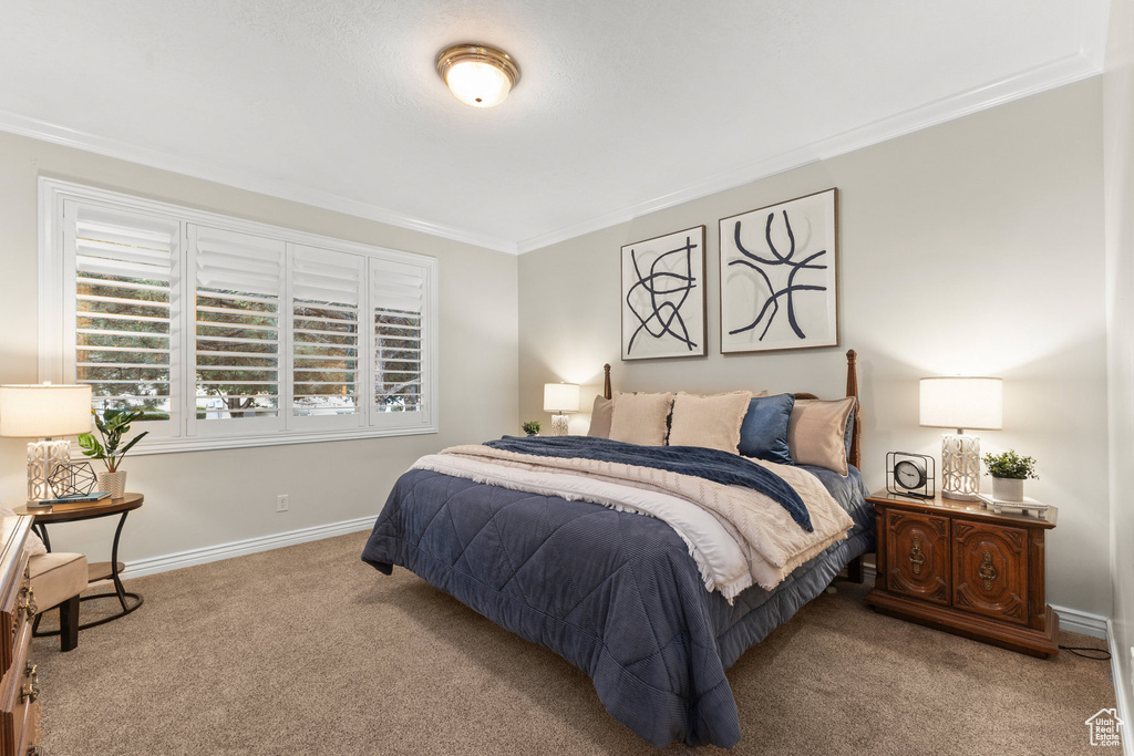 Carpeted bedroom with ornamental molding and baseboards