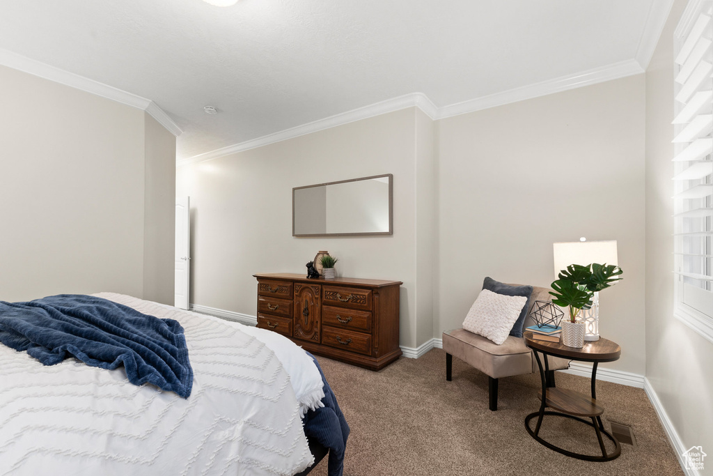 Carpeted bedroom with crown molding and baseboards