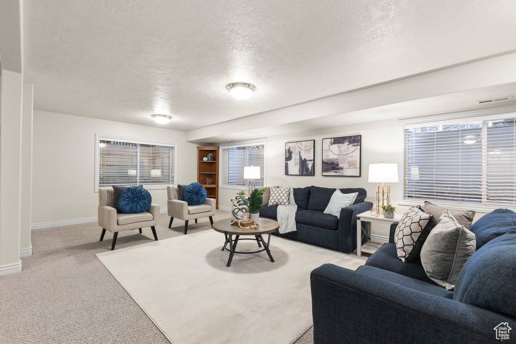 Living room featuring a textured ceiling and light carpet