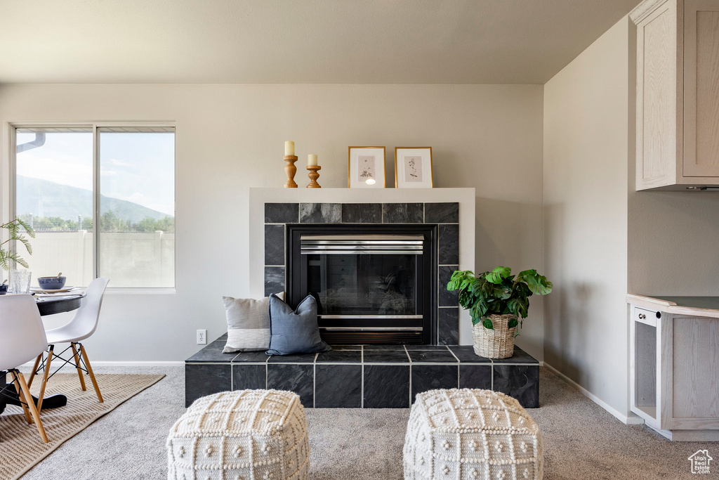 Living room with carpet floors and a fireplace