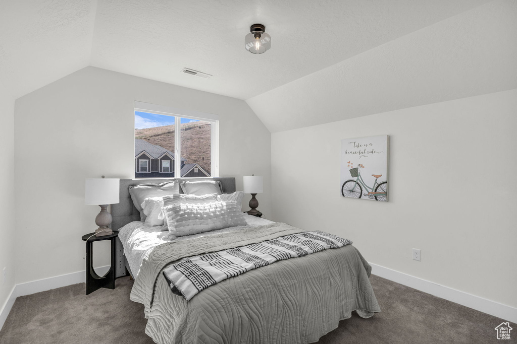 Carpeted bedroom featuring lofted ceiling