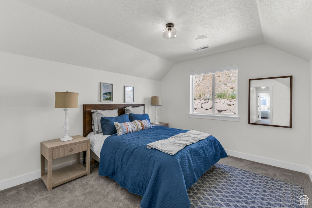 Bedroom featuring lofted ceiling, carpet flooring, and a textured ceiling