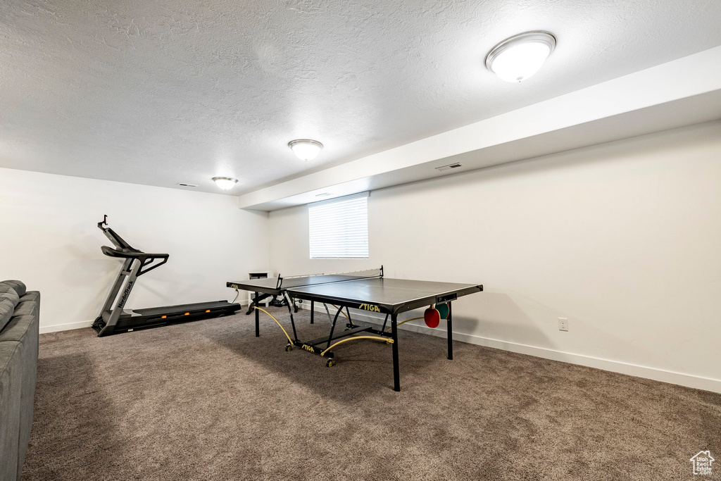 Rec room with carpet and a textured ceiling