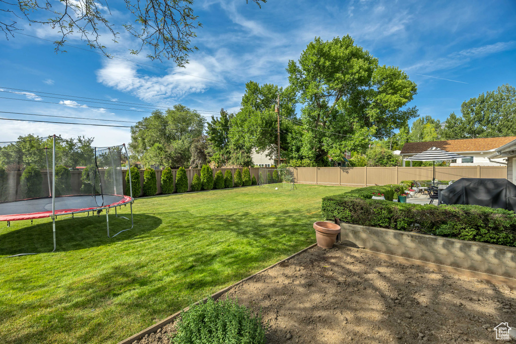 Fenced backyard with a trampoline and a patio area