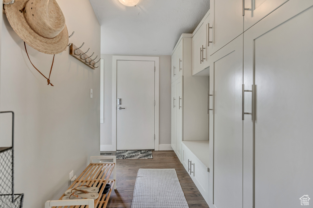 Mudroom with dark wood-type flooring and baseboards