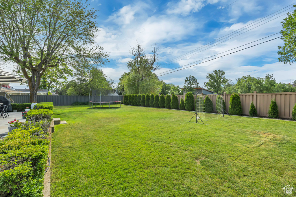 Fenced backyard with a trampoline and a patio