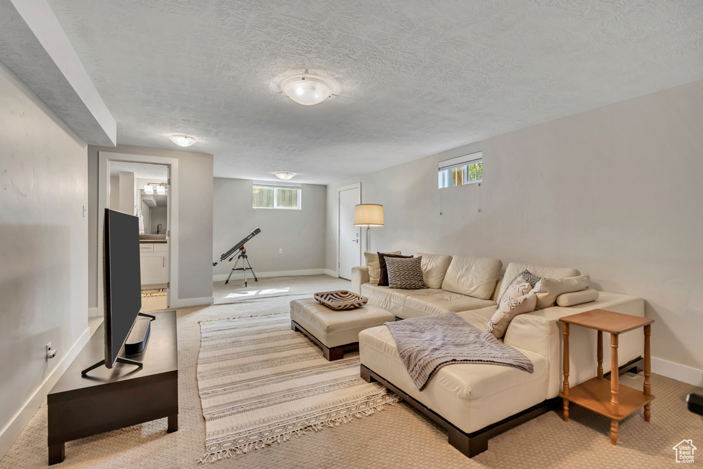 Living area featuring a textured ceiling, healthy amount of natural light, and light colored carpet