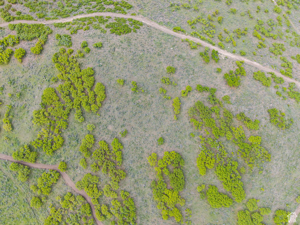 Drone / aerial view of a desert landscape