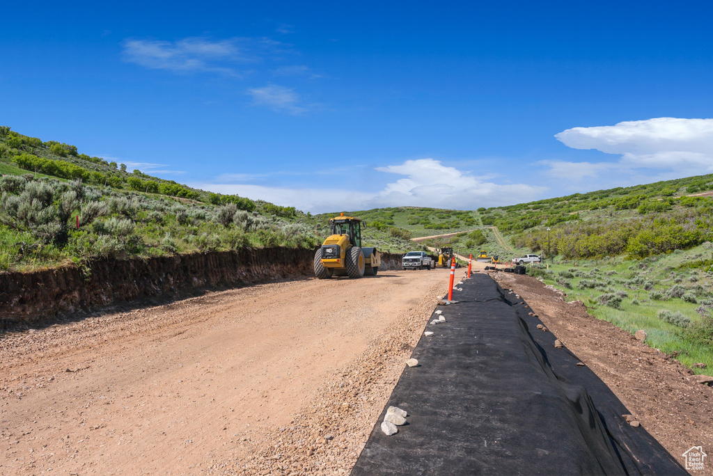 View of dirt / gravel driveway