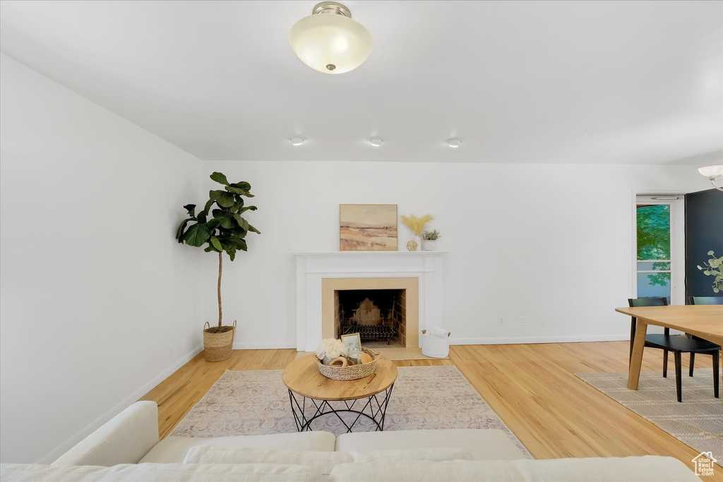 Living area featuring wood finished floors and a fireplace with flush hearth