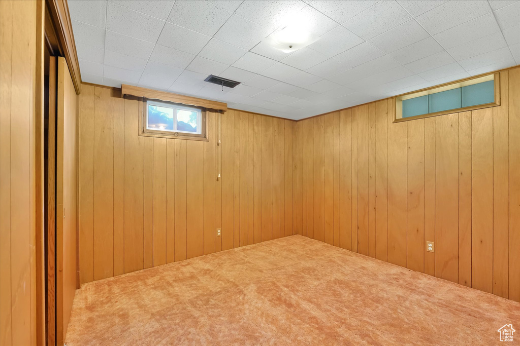 Below grade area featuring carpet and wood walls