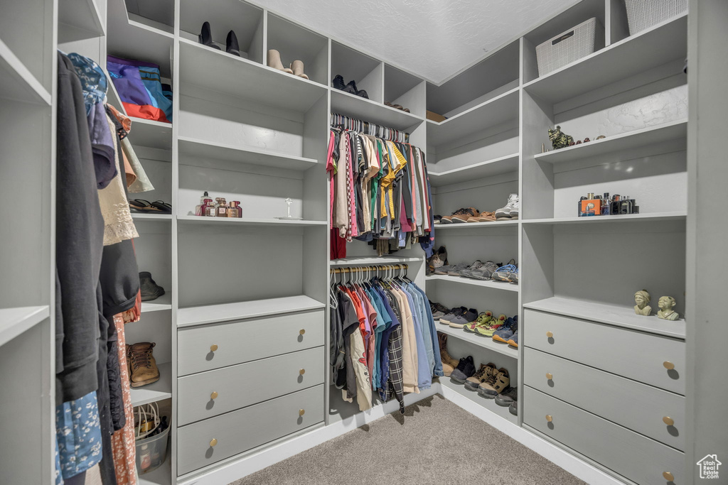 Walk in closet with carpet floors