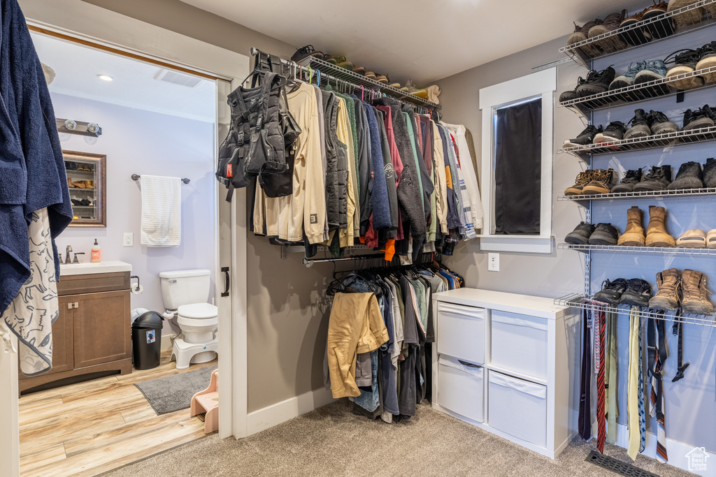 Spacious closet featuring a sink and light colored carpet