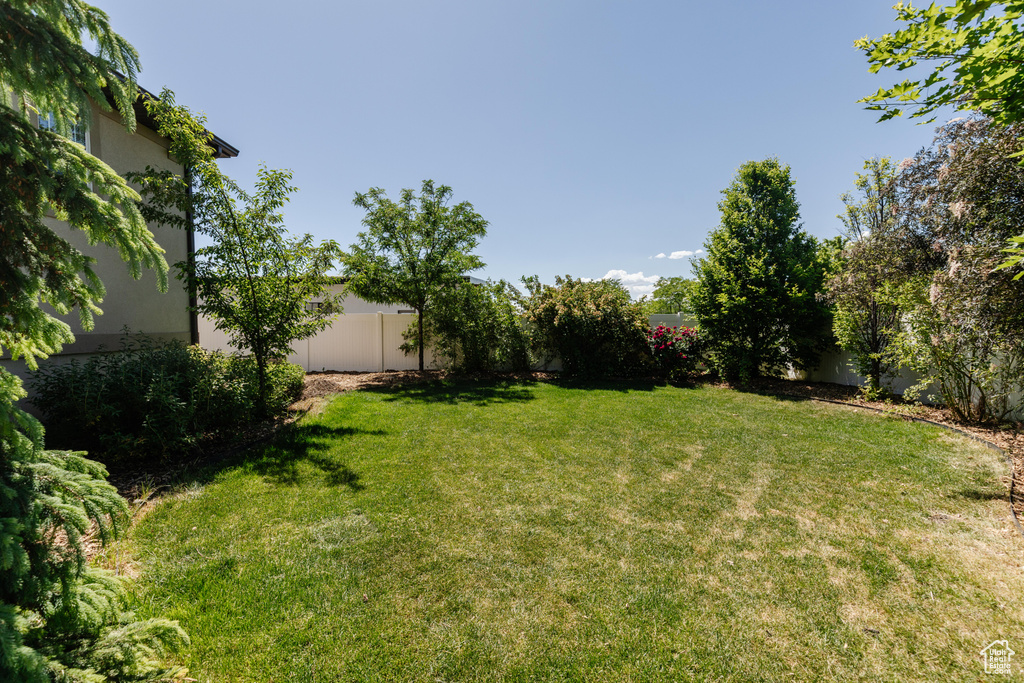 View of fenced backyard