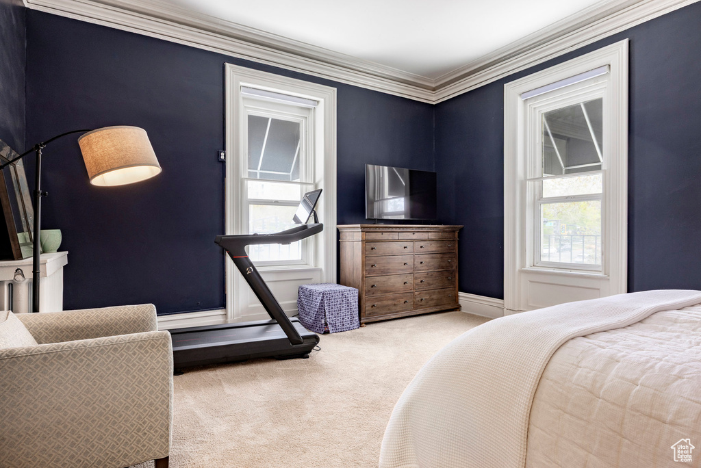 Carpeted bedroom featuring crown molding and baseboards