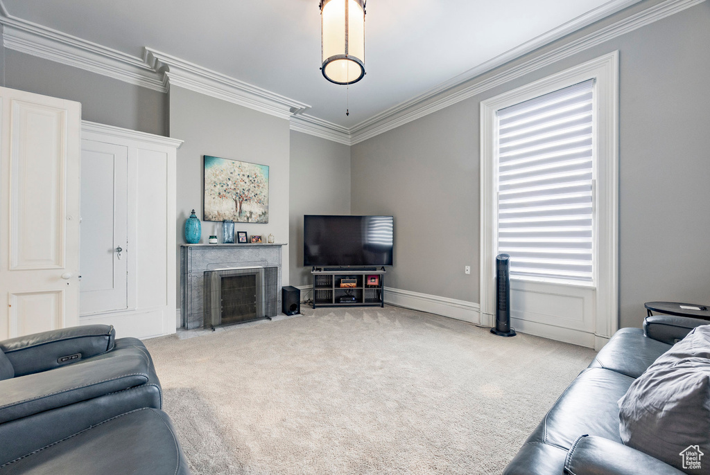 Living area with carpet, crown molding, a fireplace, and baseboards