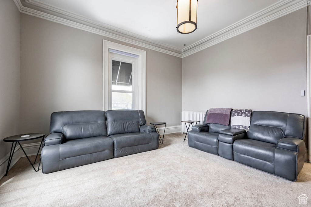Carpeted living area featuring ornamental molding and baseboards