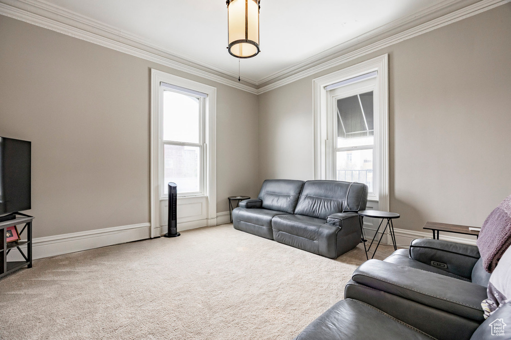 Living room with ornamental molding, baseboards, and carpet