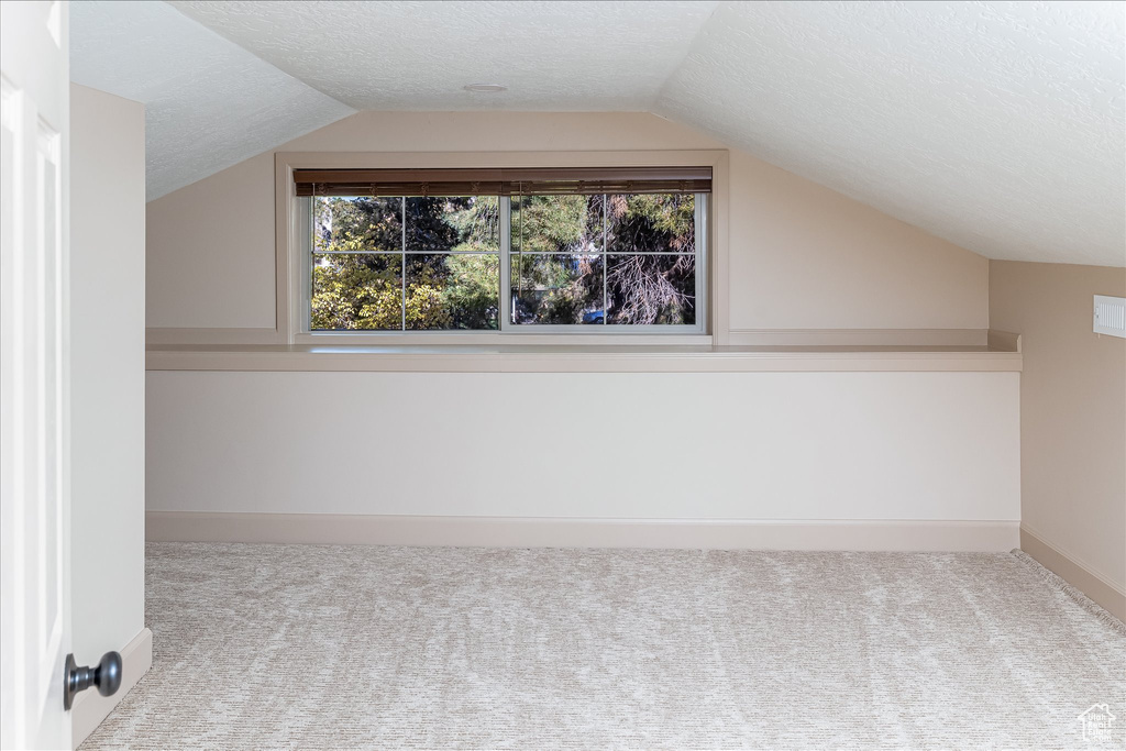 Additional living space featuring carpet flooring, vaulted ceiling, and a textured ceiling
