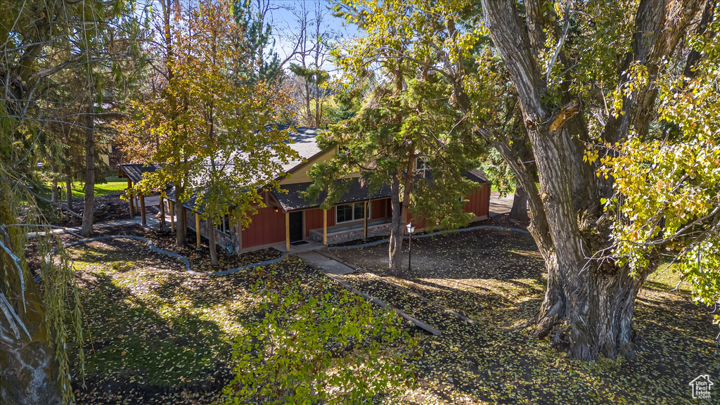 Back of property