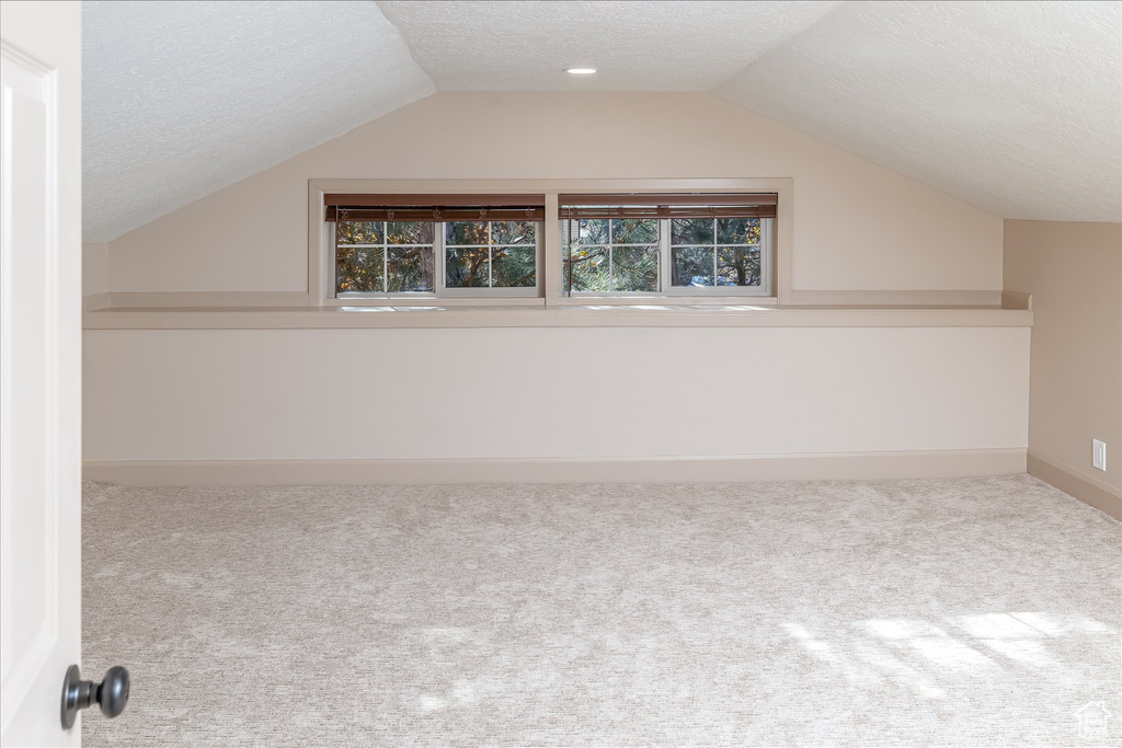 Additional living space with a textured ceiling, carpet, and lofted ceiling