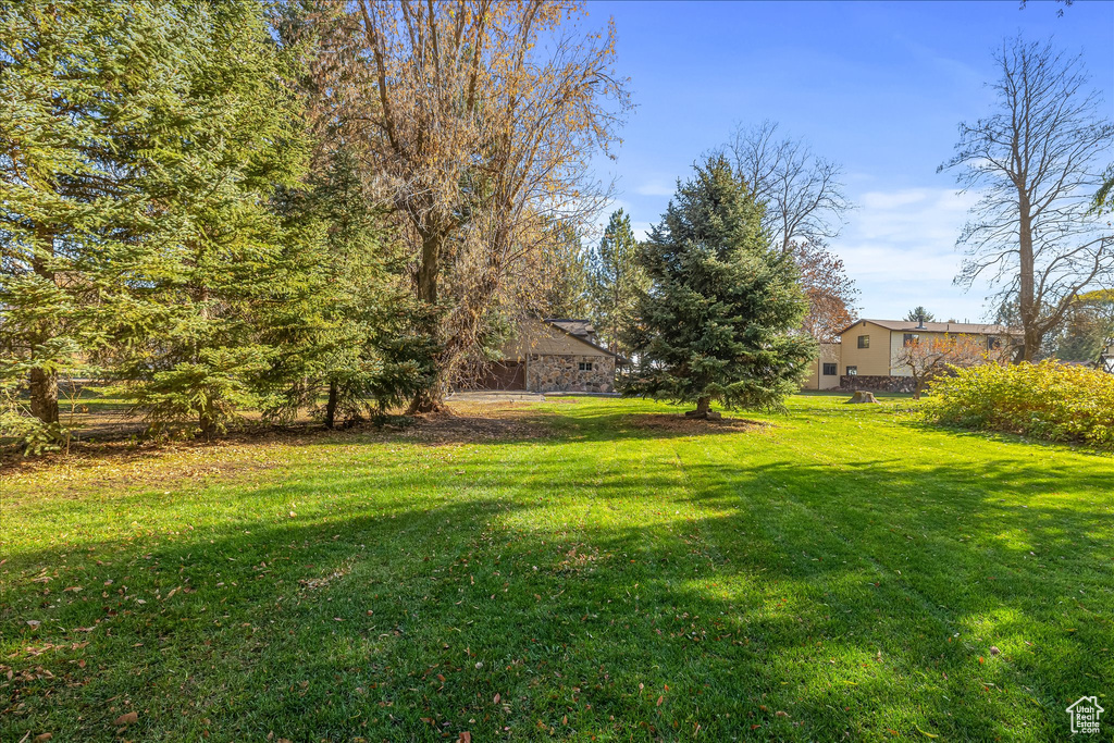 View of grassy yard