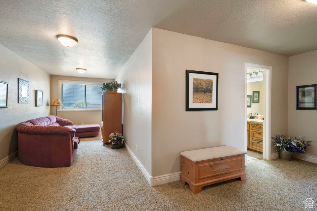Living area featuring a textured ceiling and light carpet