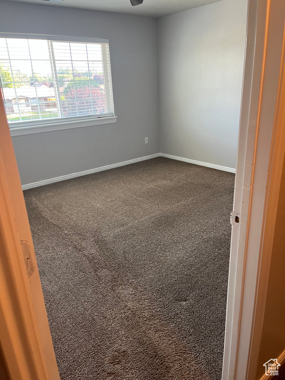 Spare room with carpet