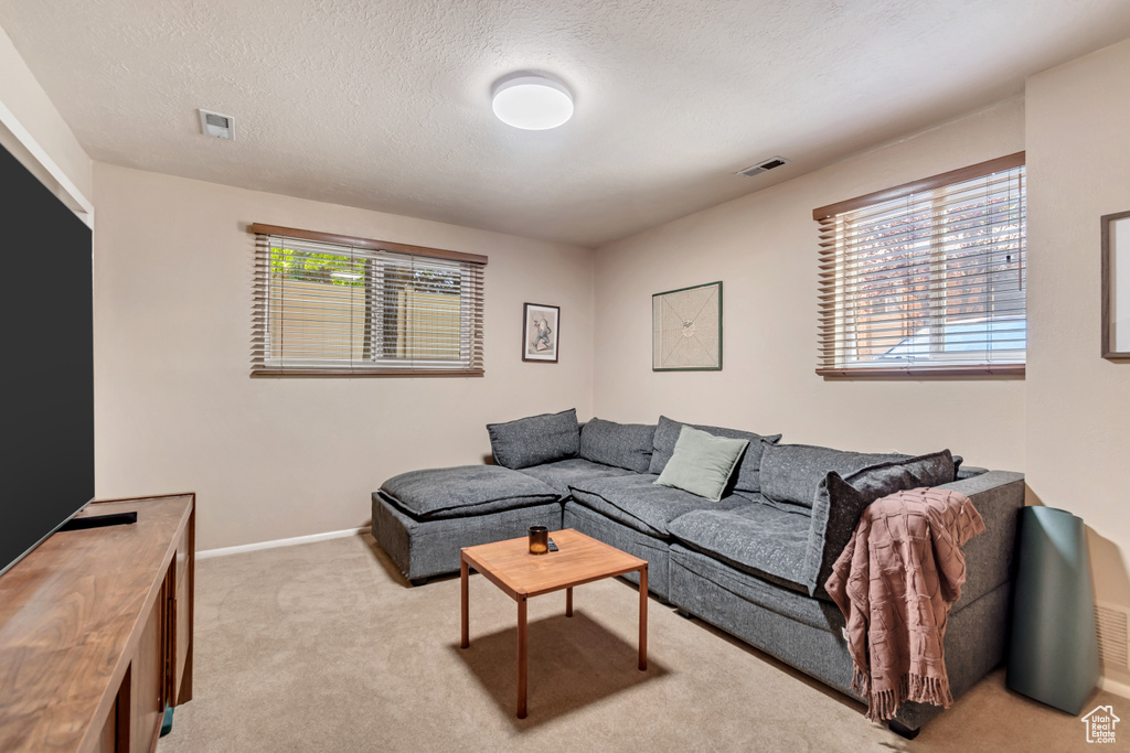 Living room with light carpet and a textured ceiling