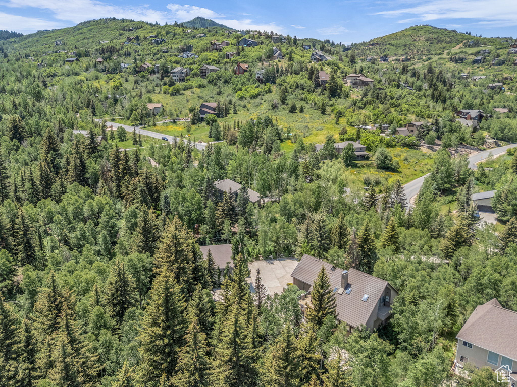 Aerial view of a mountain backdrop and a heavily wooded area
