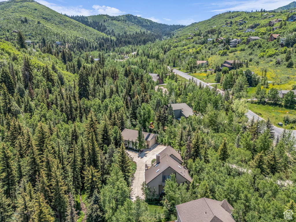 Drone / aerial view of a heavily wooded area and a mountain backdrop