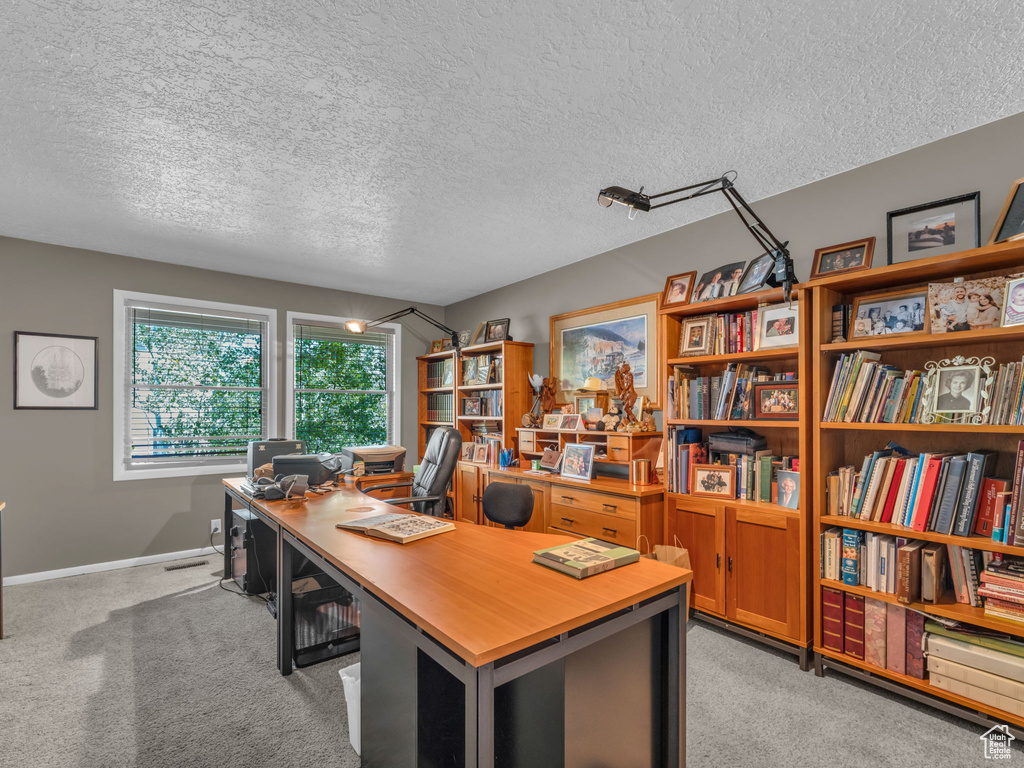 Office space with light colored carpet and a textured ceiling