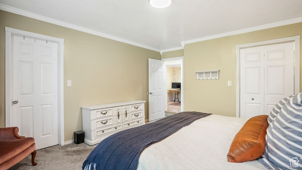 Bedroom with ornamental molding and carpet floors