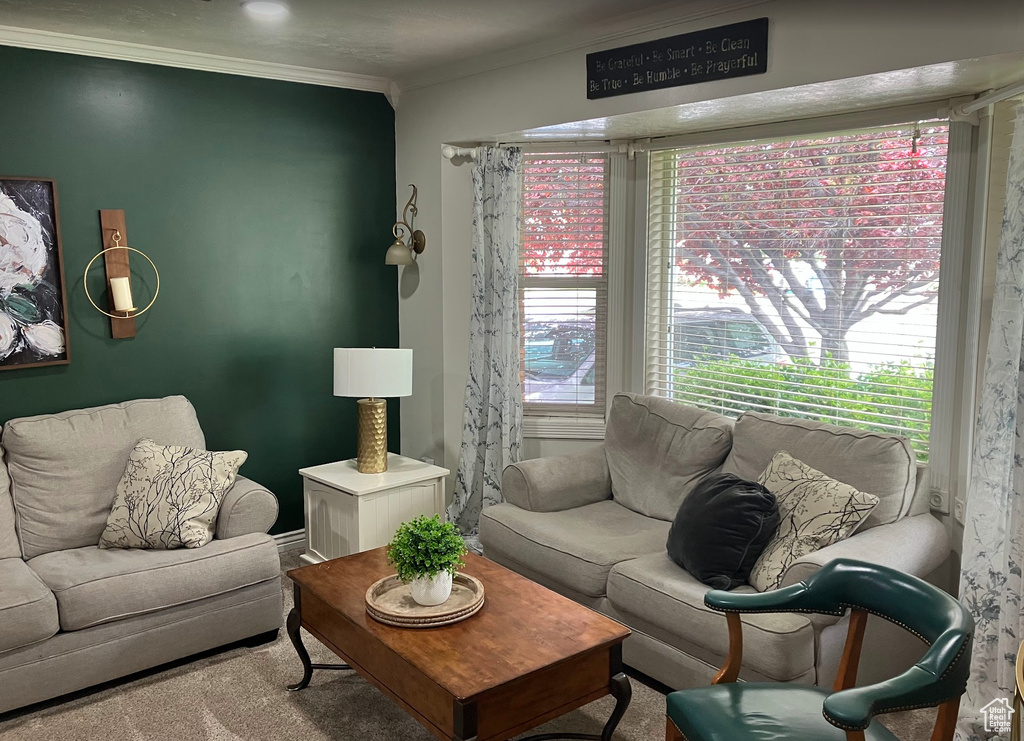 Living area with ornamental molding and carpet