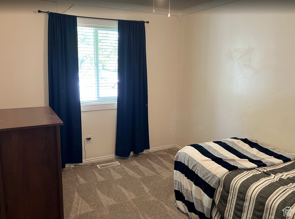 Carpeted bedroom featuring multiple windows and crown molding