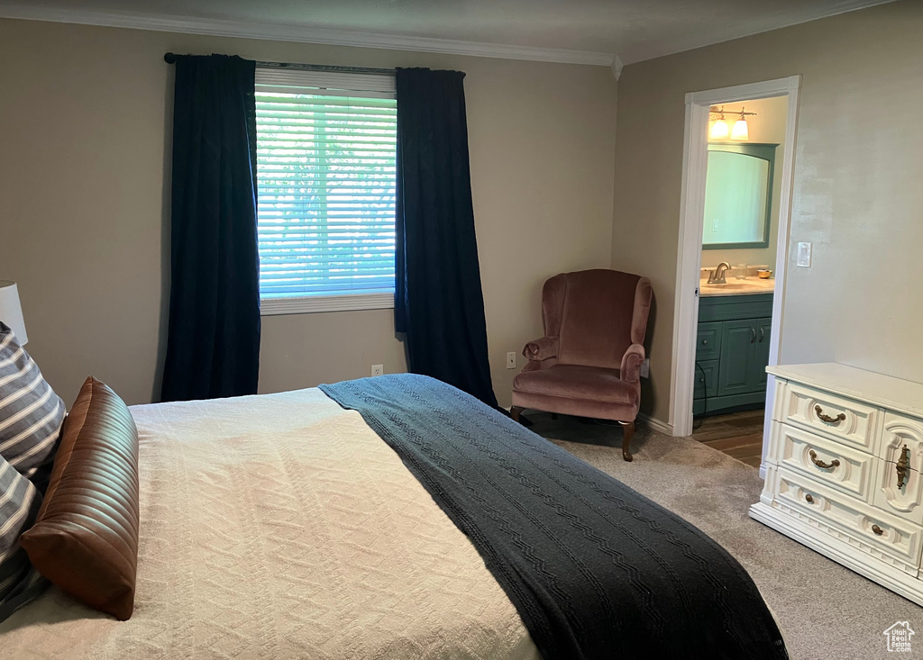 Carpeted bedroom with crown molding and ensuite bath