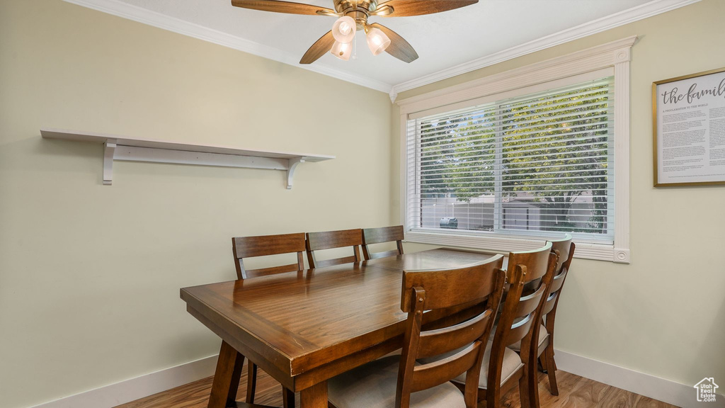 Dining space featuring wood finished floors, a ceiling fan, and crown molding
