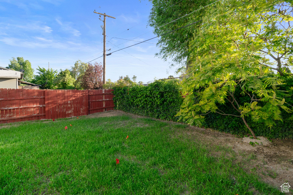 View of yard