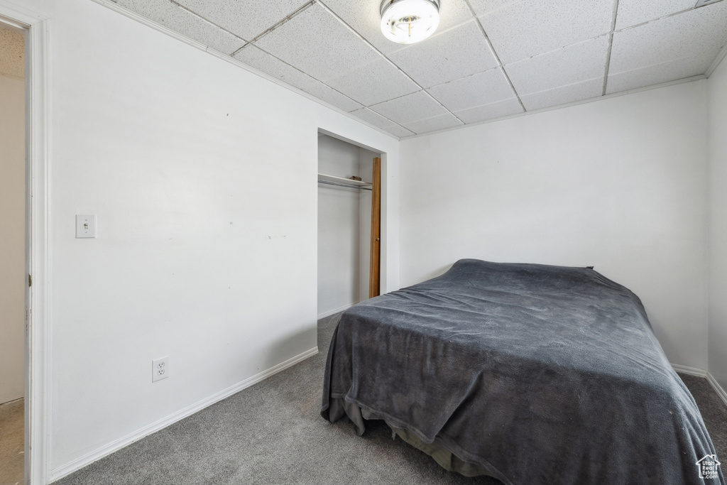 Carpeted bedroom featuring a paneled ceiling and a closet