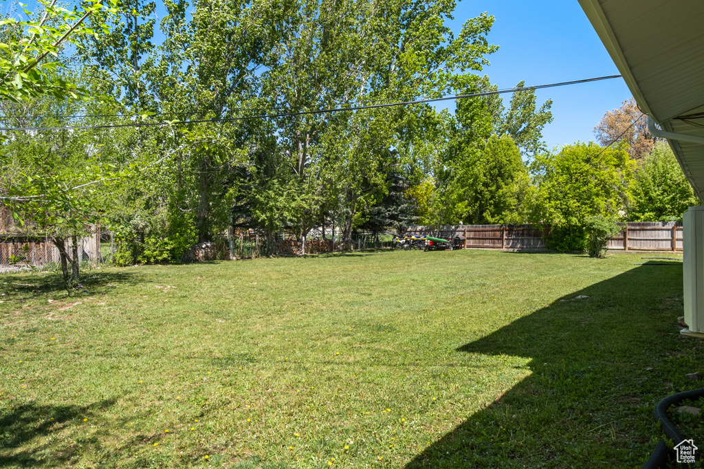View of fenced backyard