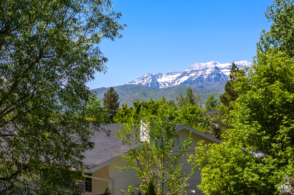 View of mountain background