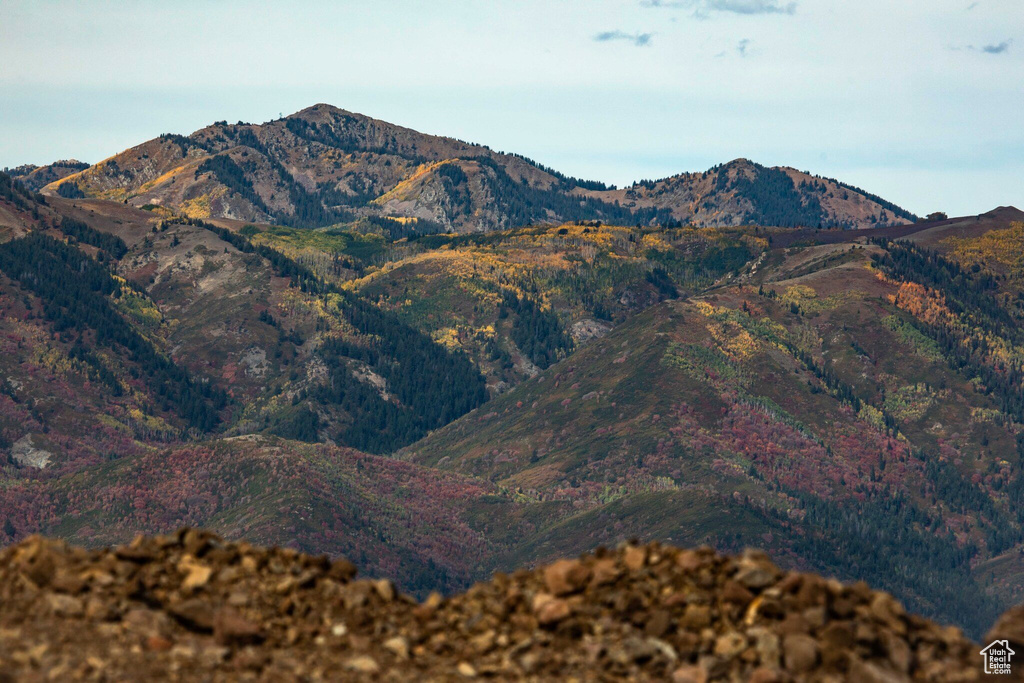View of mountain background