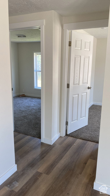 Hall featuring carpet flooring, wood finished floors, and a textured ceiling
